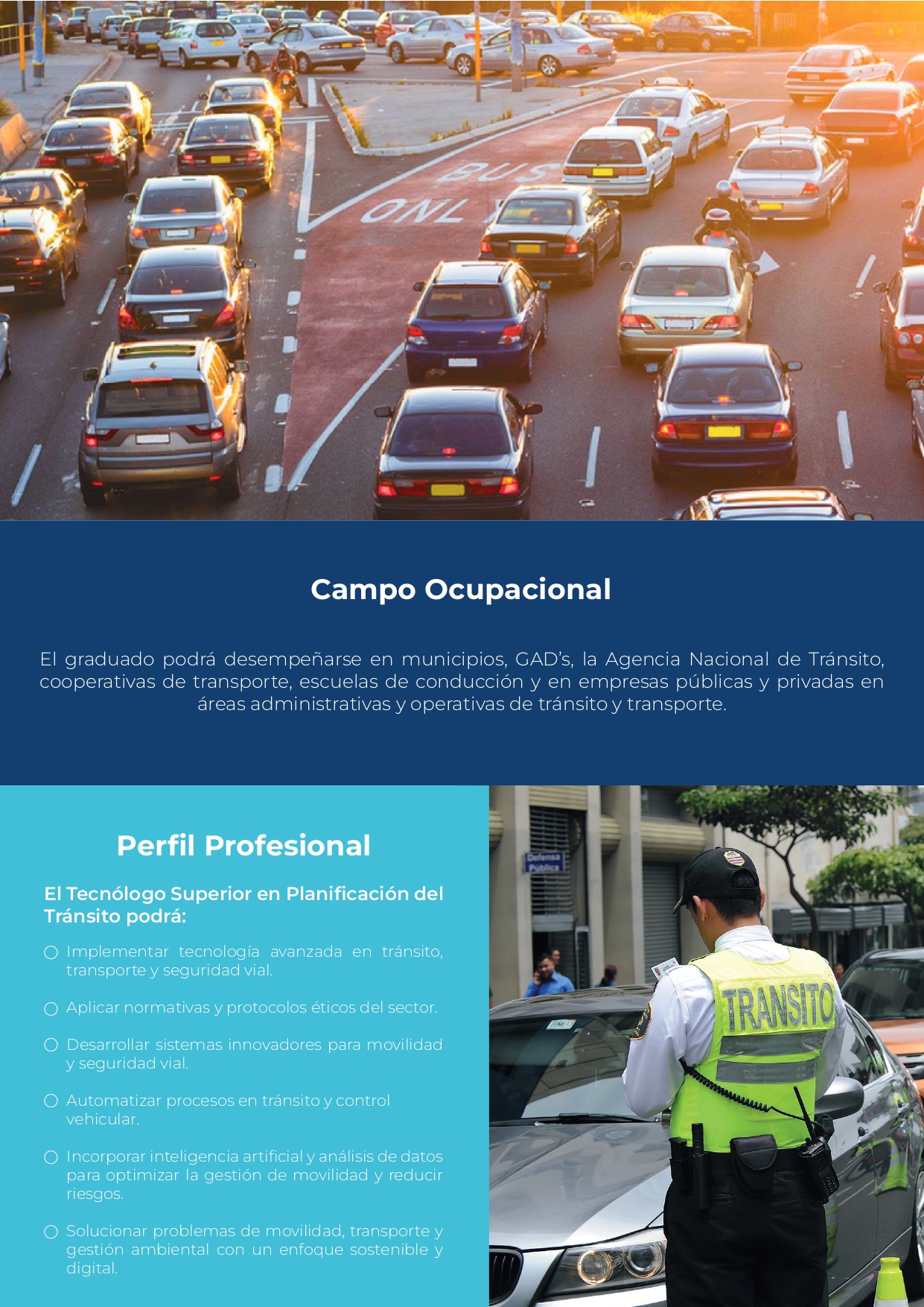 transito 20251_page-0003